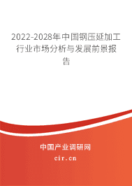 鋼壓延加工行業(yè)市場分析與發(fā)展前景報(bào)告（2022-2028年）
